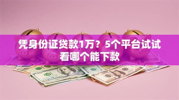凭身份证贷款1万？5个平台试试看哪个能下款