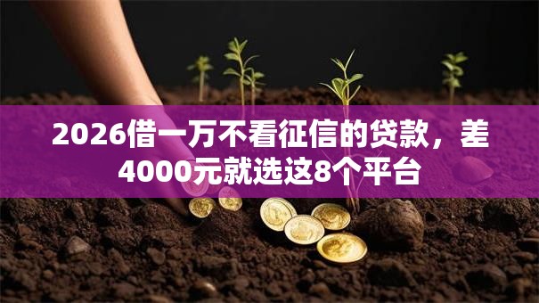 2026借一万不看征信的贷款,差4000元就选这8个平台 2026借一万不看征信的贷款,差4000元就选这8个平台
