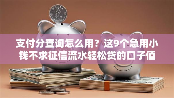 支付分查询怎么用？这9个急用小钱不求征信流水轻松贷的口子值得一试