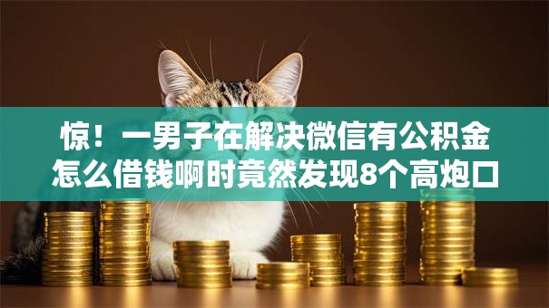 惊！一男子在解决微信有公积金怎么借钱啊时竟然发现8个高炮口子秒下款，事后分享了出来