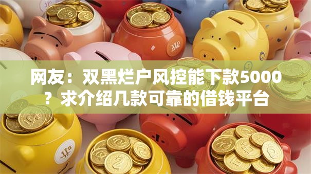 网友：双黑烂户风控能下款5000？求介绍几款可靠的借钱平台