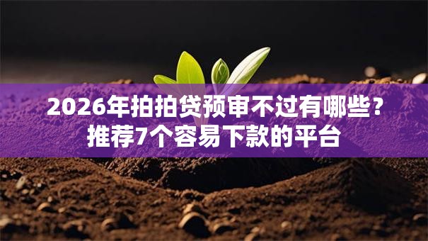 2026年拍拍贷预审不过有哪些？推荐7个容易下款的平台