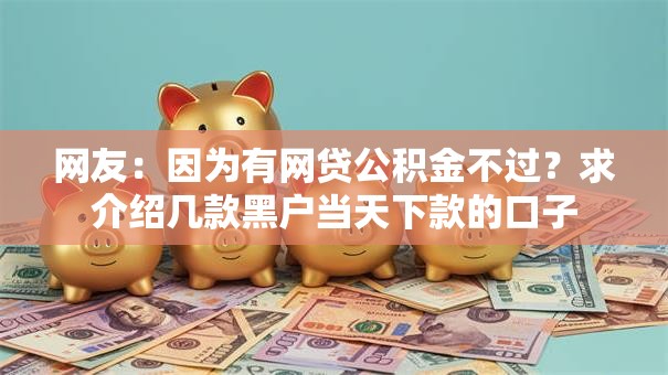 网友：因为有网贷公积金不过？求介绍几款黑户当天下款的口子
