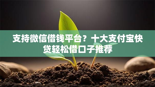 支持微信借钱平台？十大支付宝快贷轻松借口子推荐