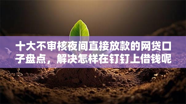十大不审核夜间直接放款的网贷口子盘点，解决怎样在钉钉上借钱呢微信的问题