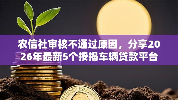 农信社审核不通过原因，分享2026年最新5个按揭车辆贷款平台