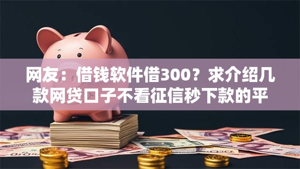 网友：借钱软件借300？求介绍几款网贷口子不看征信秒下款的平台