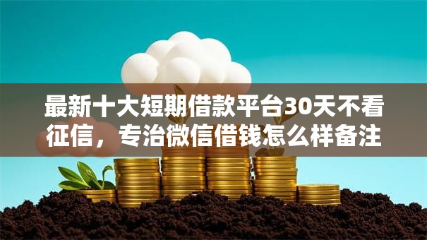 最新十大短期借款平台30天不看征信，专治微信借钱怎么样备注信息