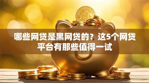 哪些网贷是黑网贷的？这5个网贷平台有那些值得一试