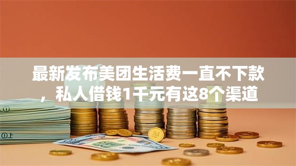 最新发布美团生活费一直不下款，私人借钱1千元有这8个渠道