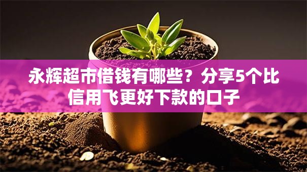 永辉超市借钱有哪些？分享5个比信用飞更好下款的口子