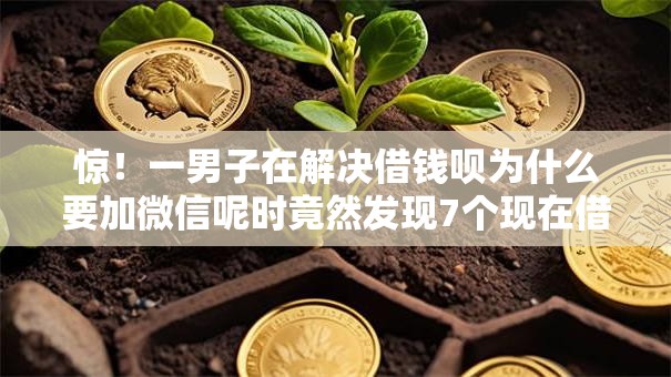 惊！一男子在解决借钱呗为什么要加微信呢时竟然发现7个现在借款平台好贷款，事后分享了出来