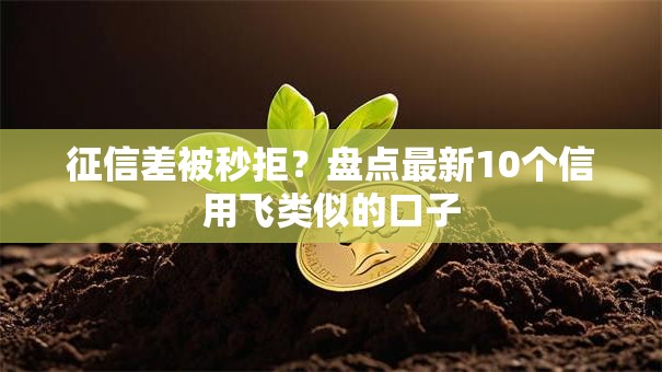 征信差被秒拒？盘点最新10个信用飞类似的口子