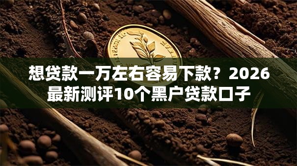 想贷款一万左右容易下款？2026最新测评10个黑户贷款口子
