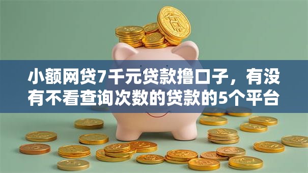 小额网贷7千元贷款撸口子，有没有不看查询次数的贷款的5个平台介绍