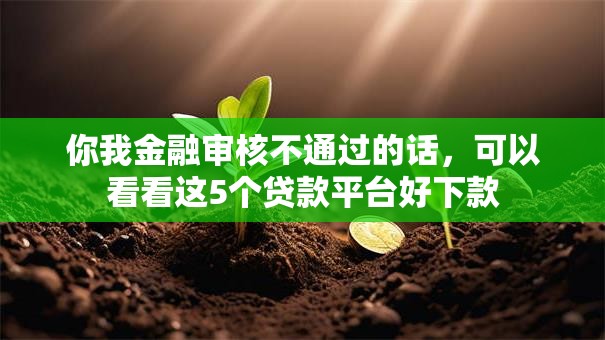你我金融审核不通过的话，可以看看这5个贷款平台好下款
