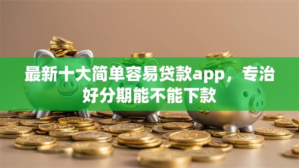 最新十大简单容易贷款app，专治好分期能不能下款