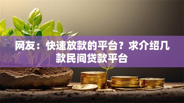 网友：快速放款的平台？求介绍几款民间贷款平台