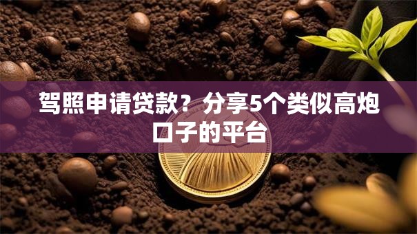 驾照申请贷款？分享5个类似高炮口子的平台