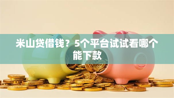 米山贷借钱？5个平台试试看哪个能下款