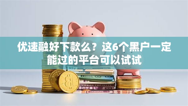 优速融好下款么？这6个黑户一定能过的平台可以试试