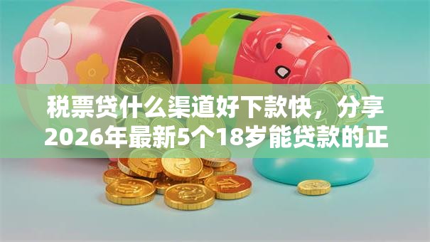 税票贷什么渠道好下款快，分享2026年最新5个18岁能贷款的正规平台