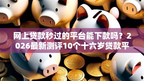 网上贷款秒过的平台能下款吗？2026最新测评10个十六岁贷款平台