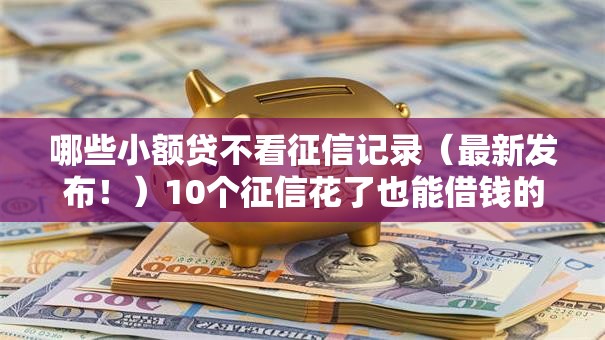 哪些小额贷不看征信记录（最新发布！）10个征信花了也能借钱的正规平台