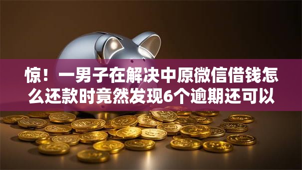 惊！一男子在解决中原微信借钱怎么还款时竟然发现6个逾期还可以贷款的平台，事后分享了出来