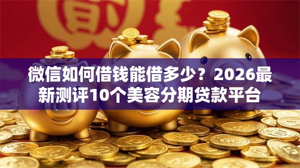 微信如何借钱能借多少？2026最新测评10个美容分期贷款平台