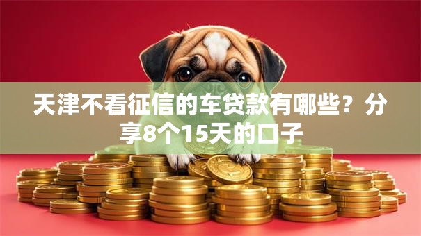 天津不看征信的车贷款有哪些？分享8个15天的口子