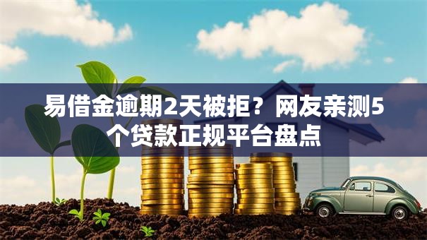 易借金逾期2天被拒？网友亲测5个贷款正规平台盘点