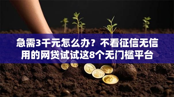 急需3千元怎么办？不看征信无信用的网贷试试这8个无门槛平台
