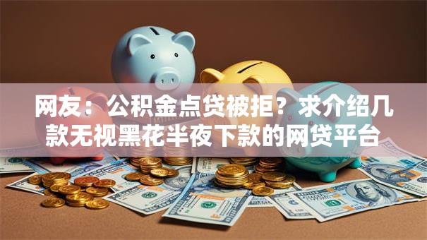 网友：公积金点贷被拒？求介绍几款无视黑花半夜下款的网贷平台