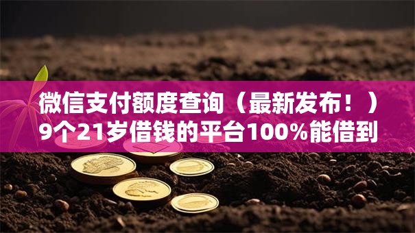 微信支付额度查询(最新发布!)9个21岁借钱的平台100%能借到 微信支付额度查询(最新发布!)9个21岁借钱的平台100%能借到