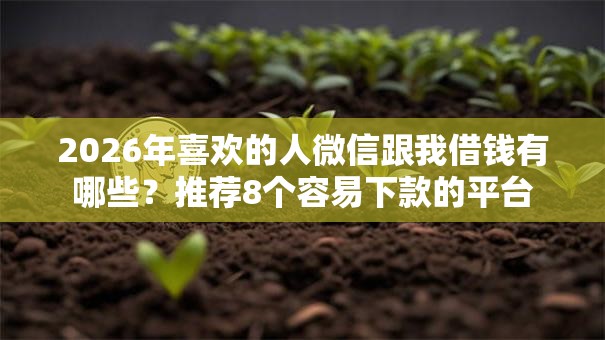 2026年喜欢的人微信跟我借钱有哪些？推荐8个容易下款的平台