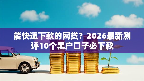 能快速下款的网贷？2026最新测评10个黑户口子必下款