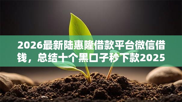 2026最新陆惠隆借款平台微信借钱，总结十个黑口子秒下款2025！