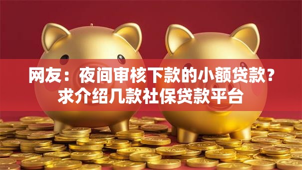 网友：夜间审核下款的小额贷款？求介绍几款社保贷款平台