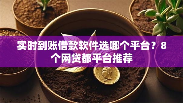 实时到账借款软件选哪个平台？8个网贷都平台推荐