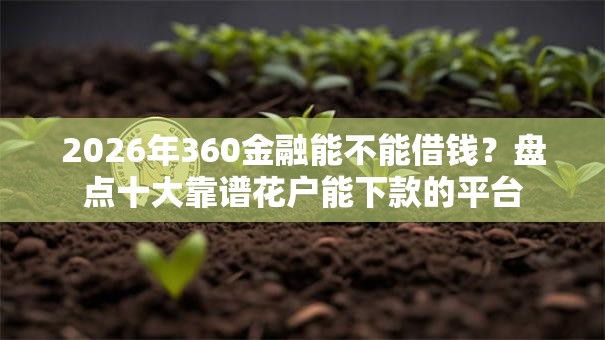 2026年360金融能不能借钱？盘点十大靠谱花户能下款的平台