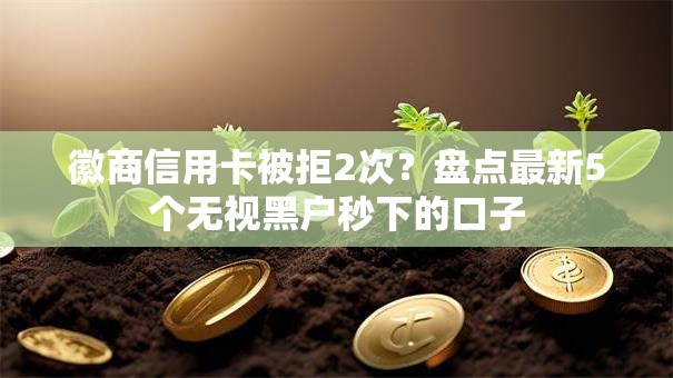 徽商信用卡被拒2次？盘点最新5个无视黑户秒下的口子