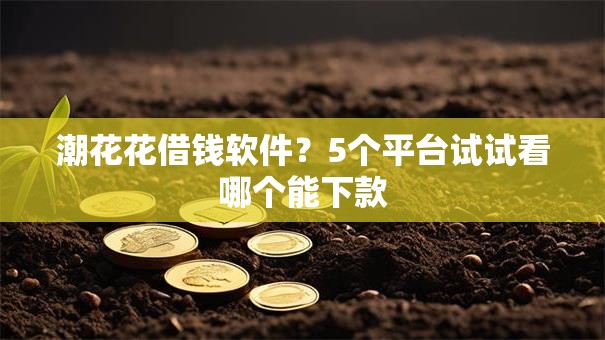 潮花花借钱软件？5个平台试试看哪个能下款