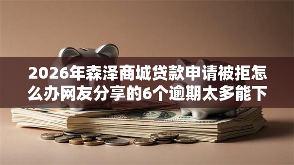 2026年森泽商城贷款申请被拒怎么办网友分享的6个逾期太多能下款口子我觉得不错！