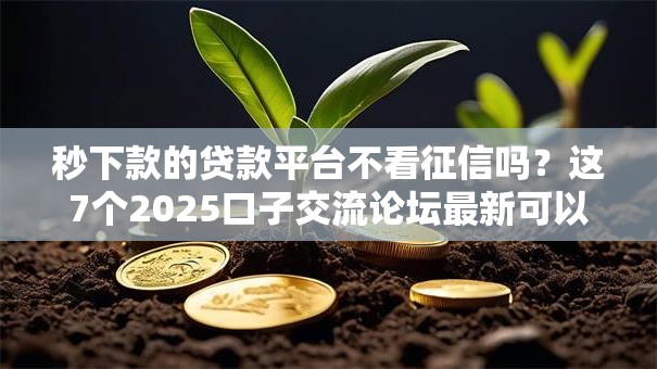 秒下款的贷款平台不看征信吗？这7个2025口子交流论坛最新可以试试