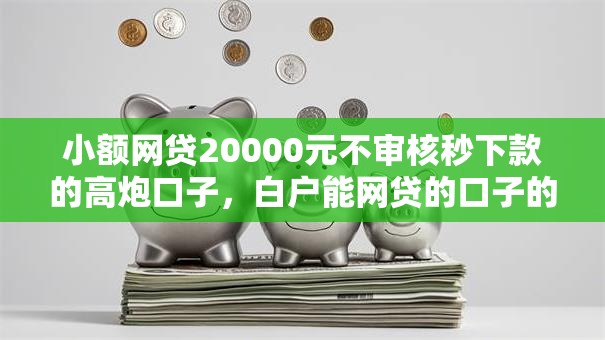 小额网贷20000元不审核秒下款的高炮口子，白户能网贷的口子的5个平台介绍