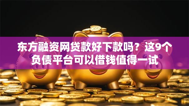 东方融资网贷款好下款吗？这9个负债平台可以借钱值得一试