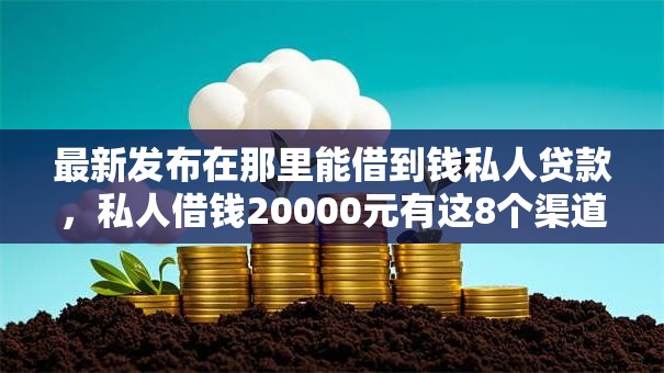 最新发布在那里能借到钱私人贷款，私人借钱20000元有这8个渠道