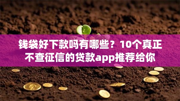 钱袋好下款吗有哪些？10个真正不查征信的贷款app推荐给你