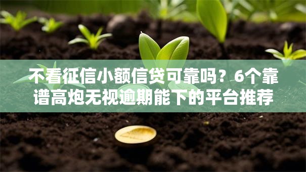不看征信小额信贷可靠吗？6个靠谱高炮无视逾期能下的平台推荐